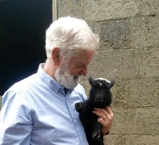 One of the latest arrivals