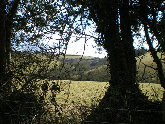 View down our valley