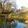 Duck island pond