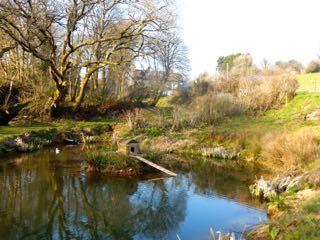 Duck island pond