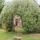 The big arch is tricky to prune!
