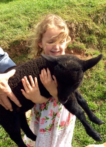 Granddaughter Poppy with our sock lamb