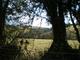 View down our valley