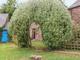 The big arch is tricky to prune!