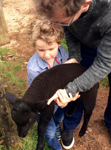 Grandson Jake with our sock lamb