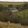 Lower Collaton across the fields