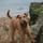 Plenty of dog friendly beaches!