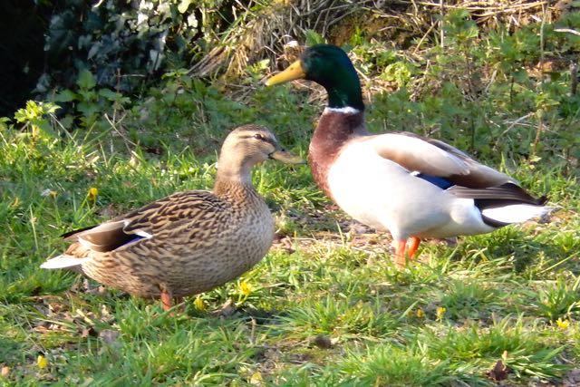 Our latest recruits