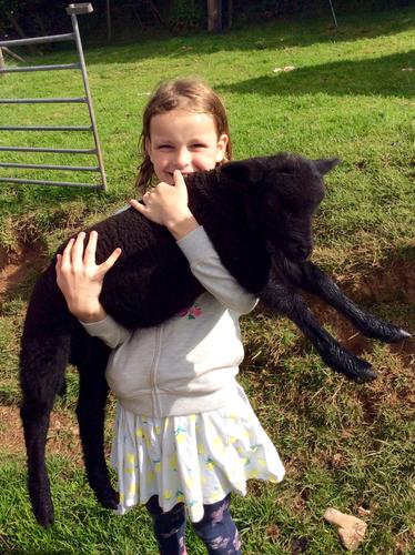 Evie with our sock lamb