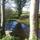 The old pond