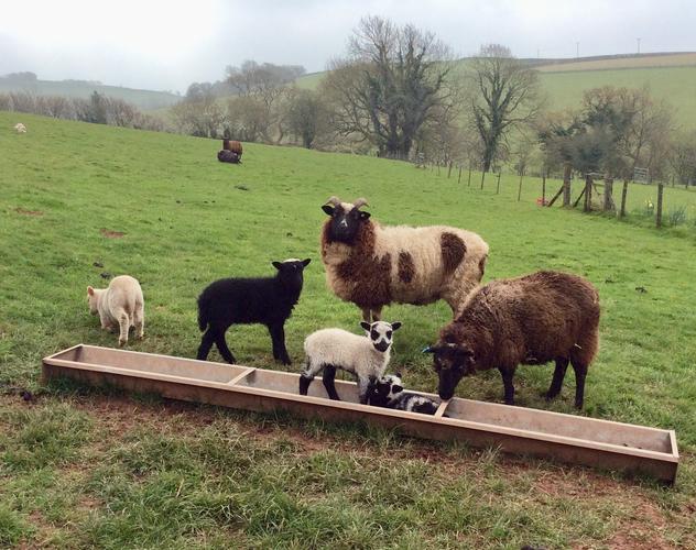 Mothers with their latest additions 