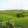 Lower Collaton across the fields from the south