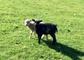 A couple of youngsters enjoying the sun