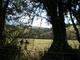 Another nice spring view