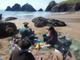 Great local beaches for a picnic