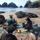 Great local beaches for a picnic
