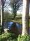 The old pond
