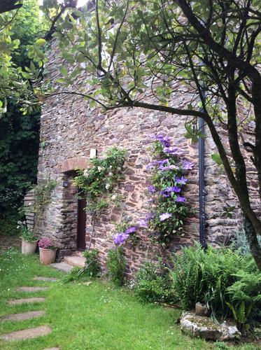 Springtime clematis on the wall