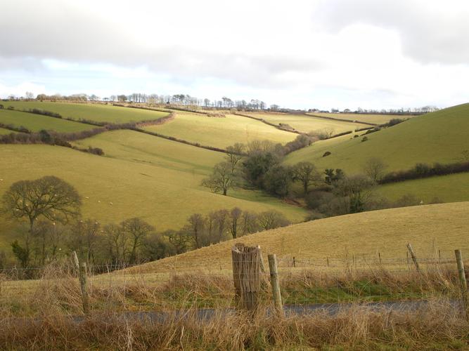 View down our valley