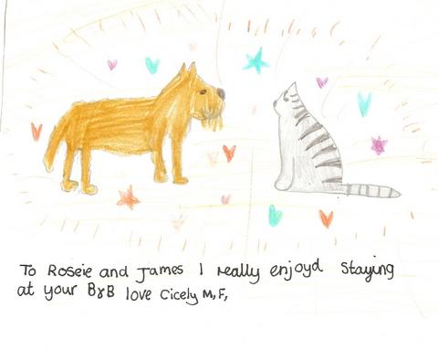 Nualla the dog and Colin the cat
